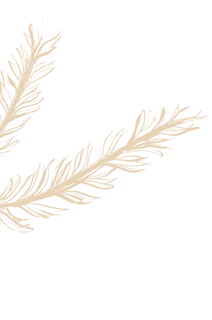 About Zaffran UK Left